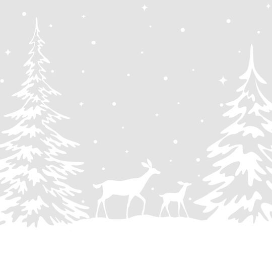 Fensterfolie static window border White Forest image number null